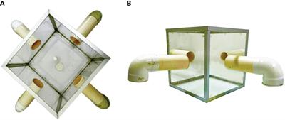 Behavioral report of Chrysomya rufifacies in response to substrate infestation by Lucilia sericata and Lucilia cuprina using a tetrahedron olfactometer device